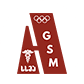 GSM